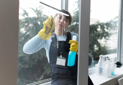 Nettoyage de vitres intérieures et extérieures à Epiry